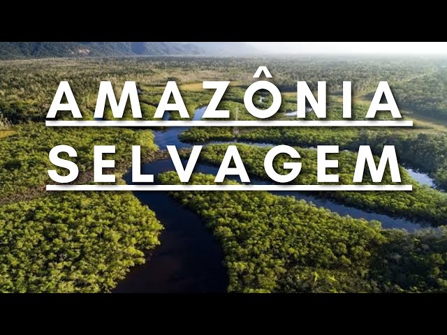 Amazônia Selvagem - Berço da vida | Documentário dublado HD class=