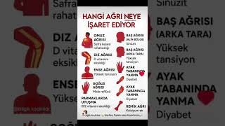 Sağlikli Yaşam Rehberi̇