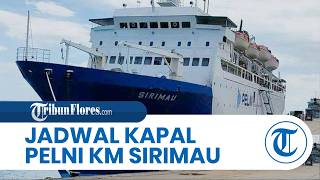 Pelni KM Sirimau Ship Schedule Through August 1, 2026: Kupang, Lewoleba, Maumere, Baubau Routes