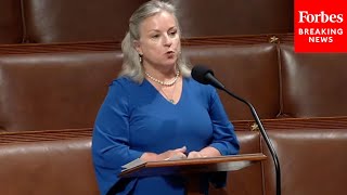 Susan Wild Pushes Back On 'Democrats In Disarray' Narrative Over Build Back Better Legislation