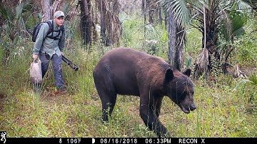 Browning Recon Force Swamp Camera Pickup