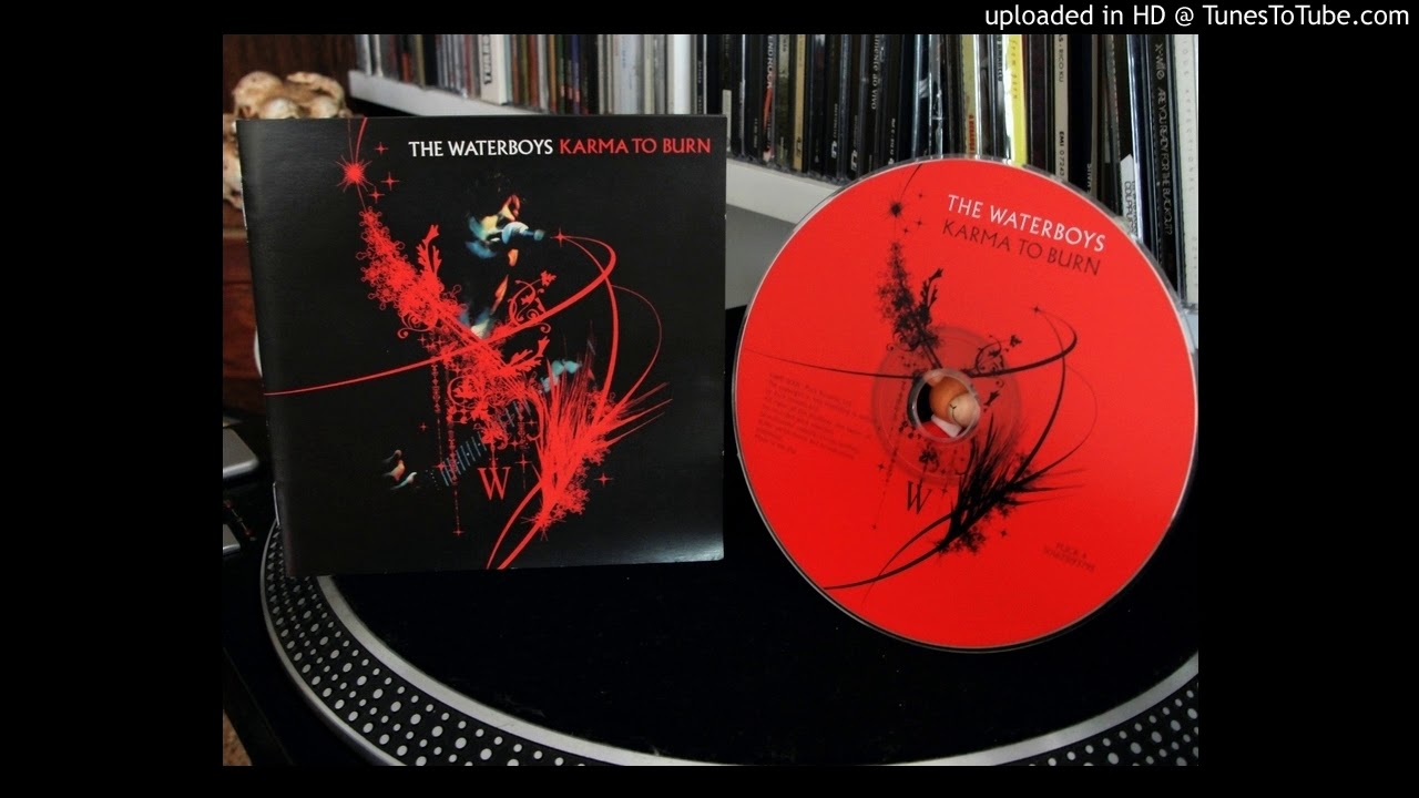 The Waterboys ‎–  long way to the light (live)