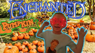 Enchanted Pumpkin Patch - Spy Peace ✌️