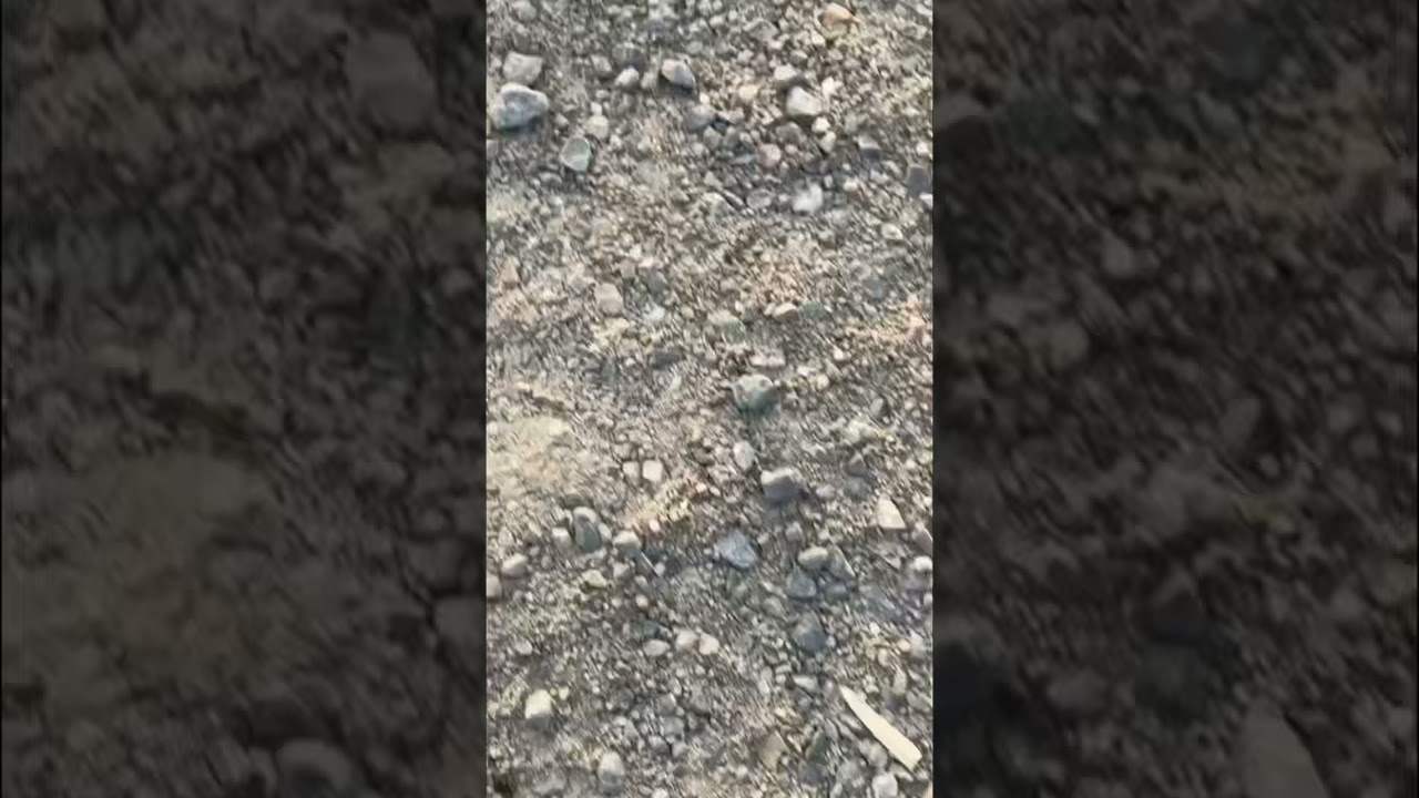 Neues Bike von Fabian | Bergamont Kiez | 