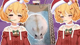 Eimi Reacts to Hamster Pooping...
