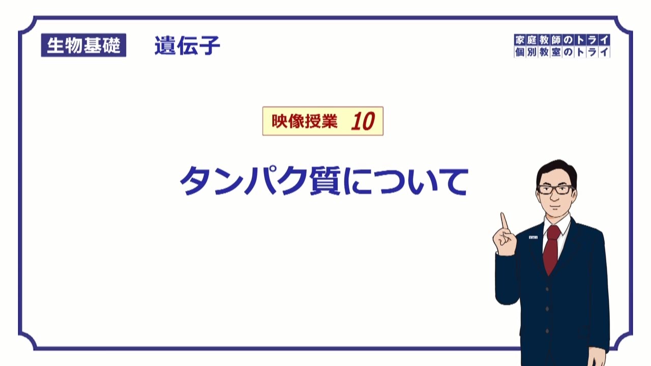 【生物基礎】　遺伝子10　タンパク質について （１３分）