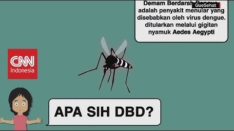 Tips Mencegah DBD