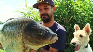 Boilies Senzor Planet1016. Nou record personal pentru Andrei Vlădeanu la Hermes Periș.