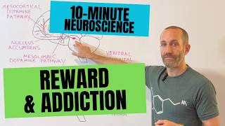 10-Minute Neuroscience: Reward and Addiction