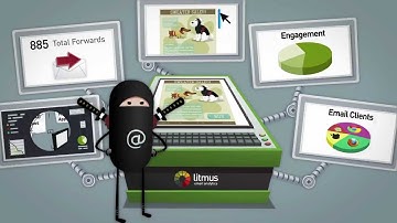 Litmus Email Analytics in a Nutshell