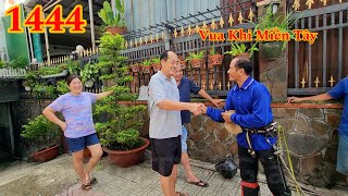 Vua Khỉ Miền Tây có cách làm mới về cưa cây Cau Vua ở không gian hẹp Cutting king areca tree