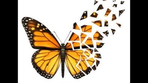 Best Practices: Broken Wing Butterfly Part 1