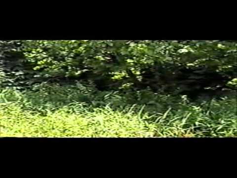center for reproductive rights The Rover Files Part 9