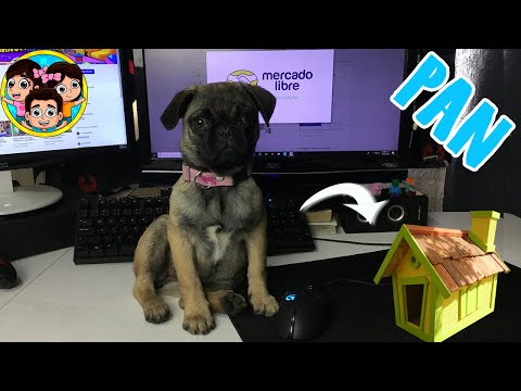 PAN COMPRA POR INTERNET | Guzmancitos