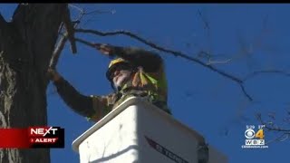 As Mass. preps for Level 3 storm, power crews from US, Canada coming to help