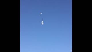 IMG 0923 MOV