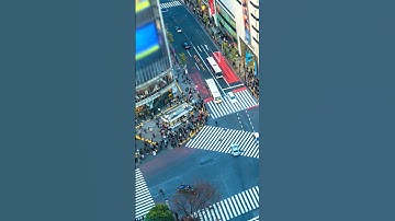 Inside Tokyo’s Craziest Crossing #tokyo #shibuya #travel #visitjapan