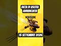 Marvel Wolverine Esce a Settembre su PS5 #marvel #playstation #ps5