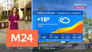 Download lagu Утро жара вернется в столичный регион в середине недели Москва 24 Утро жара вернется в столичный регион в середине недели Москва 24