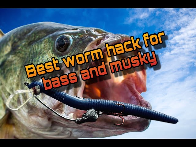 Bass and musky worm hack 