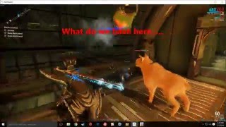 Warframe Weird/Random Compilation!