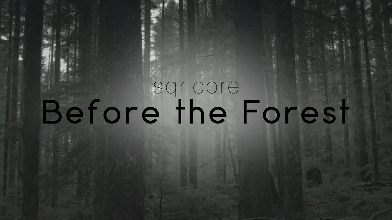sqrlcore -- Before The Forest (2016)