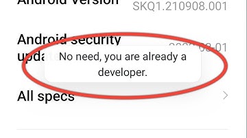No Need Developer Mode Has Already Been Enabled