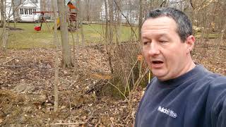 Getting a huge blown-over tree stump back in the hole. See this 8ft root ball out of the ground.