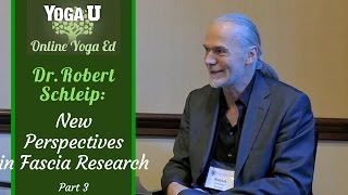Dr. Robert Schleip Interview Part 3 | Yoga, Fascia and the Mechanics of Soft Tissue Healing screenshot 5
