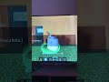 caramba a msm fruta dnv pt 8 #29k
