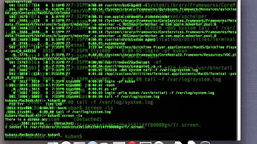 Running multiple scripts in background from one linux terminal