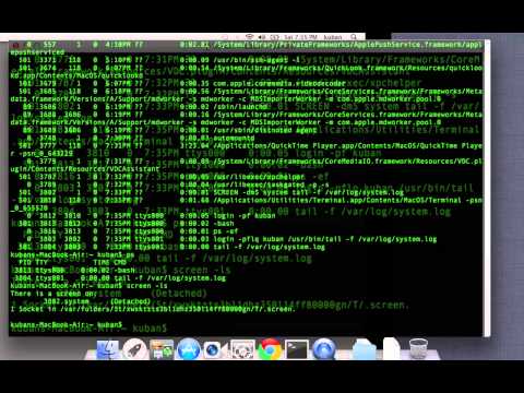 Running multiple scripts