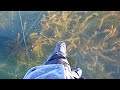 Fishing EXTREMELY Early Ice With LIVE BAIT!!! (Crazy Clear Water)