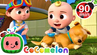 This is the Way Doggie Care | CoComelon | Songs and Cartoons | Best Videos for Babies