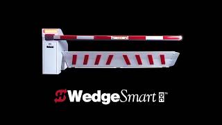 HySecurity - A Short Introduction into HySecurity WedgeSmart DC