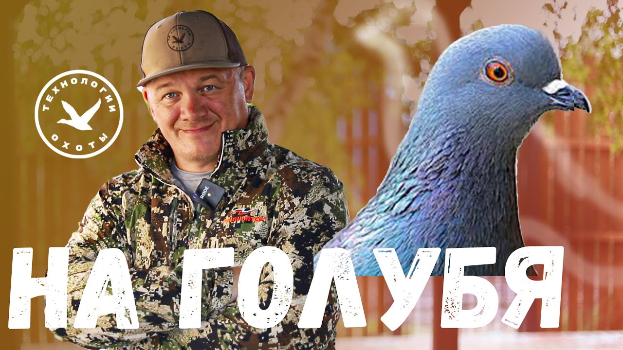 Первая охота на голубя-клинтуха в 2025 году