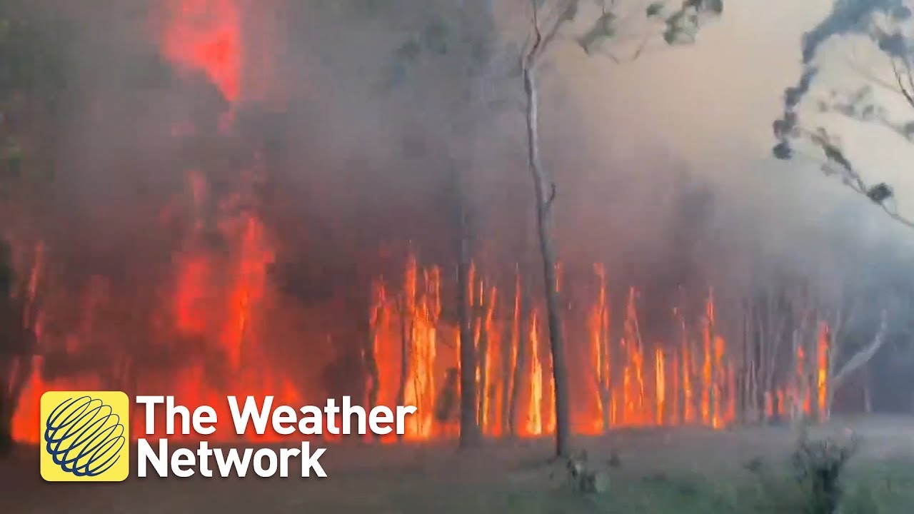 video phone beyonce mp3 Terrifying videos from on the ground in the Australia bushfires