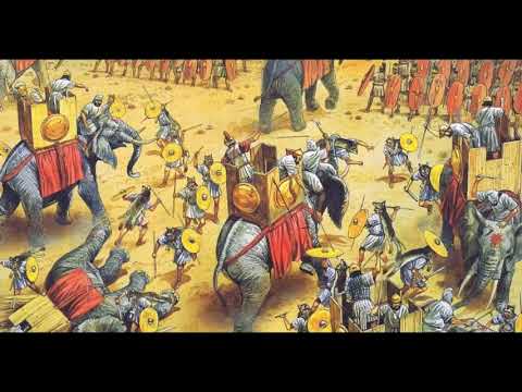 პუნიკური ომები რომი და მისი დაპყრობი. punikuri omebi. romi da misi dapyrobebi 11 კლასი