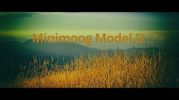 Minimoog Model D | Ambient