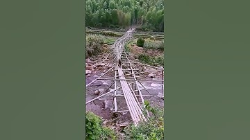 The process of moving bamboo = a good way to increase efficiency