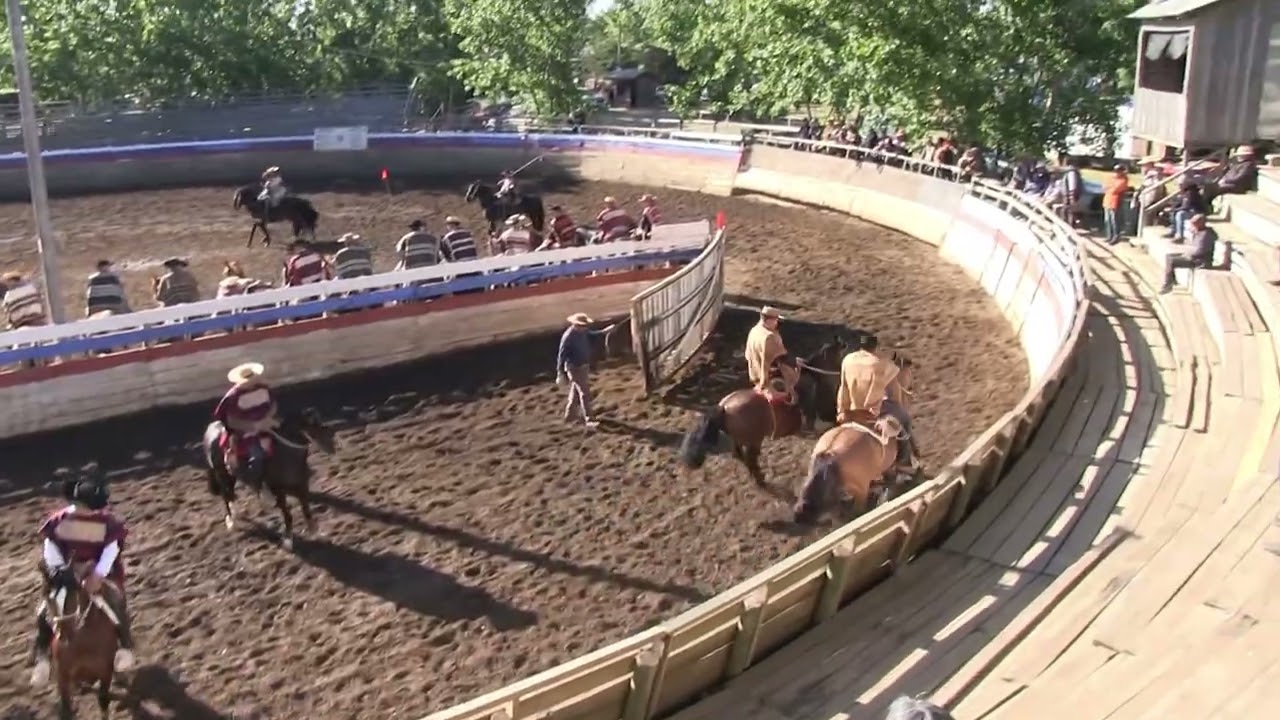 Rodeo Club Manantiales De Parral - Primera Serie Libre 01/11/2025