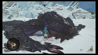 Monster Hunter Wilds Part 77: Putting the Gore in Magala again