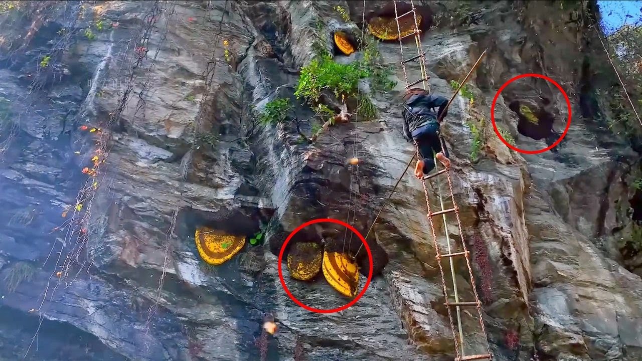 Cliff life | Dangerous Honey Hunting Skills in Nepal | Travel Adventures