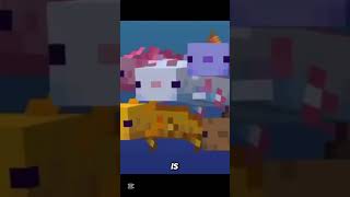 Minecraft’s Rarest Mob Explained 😨 | Blue Axolotl Secret” #minecraft #BlueAxolotl #MinecraftSecrets