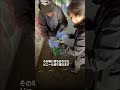 下水にわんこが捕らわれていた