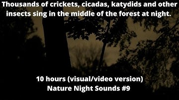 Thousands of crickets cicadas katydids (dark forest visual) cricket sounds sleep sounds white noise