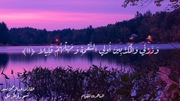 " وَٱصْبِرْ عَلَىٰ مَا يَقُولُونَ وَٱهْجُرْهُمْ هَجْرًا جَمِيلًا " الـقارئ عـبدالـرحمـن مسعـد '💜.