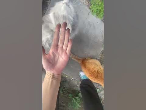 Так как думаете, что лучше, Тайд или кипячение?😄😭 - YouTube