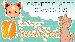 Catmeet 2020 - Charity Commissions for SpecialEffect!