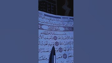 الشيخ علاء عقل سورة الزلزلة